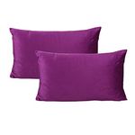 Rectangle Lumbar Velvet Soft Throw Pillow Cases Solid Cushion Covers Home Decorative for Couch Sofa Bedroom 12"x20" Set of 2, Purple Magenta