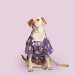 Pet Set Go Funky Animal Print Cotton Shirt (Purple)|Colourful and Comfortable Shirts for Dogs|100% Cotton.