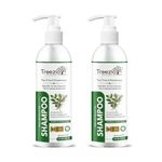 Treezio Tea Tree & Rosemary Shampoo - Anti Dandruff, Promotes Hair Growth & Reduces Dandruff | No Paraben No Silicones | For Men & Women - Pack of 2 (250 ml Each)