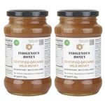 INDIGENOUS HONEY Raw Organic Honey Unprocessed Unfiltered Unpasteurized Pure Natural Original Honey - 530 Grams Glass Jar (Pack of 2)