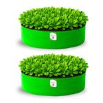 ORGANIC BAZAR 24x6 Leafy Grow Bag for Terrace Garden, Premium HDPE 260 GSM Green Plant Bags for Leafy Vegetables (Pack of 2)