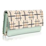 Fiesto Fashion Women's Latest Designed clutch/Wallet Purse