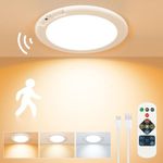 Rodalims Rechargeable Ceiling Light