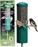 Birds Choice Classic Squirrel Proof