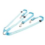 LED Horse Breastplate Collar-Best High Visibility for Horseback Riding-Adjustable-Sturdy and Comfortable Equestrian Safety Gear-for Night Horse Riding (Blue)