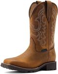 ARIAT Women's Unbridled Rancher Wat