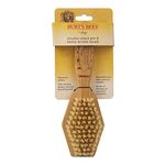 Burt's Bees for Dogs Double Sided Pin Brush & Hemp Bristle Dog Brush | Best All-Purpose Dog Brush To Reduce Shedding | Easy to Use Dog Brush for All Dogs | Ideal for Daily Grooming