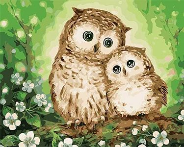 WOWDECOR DIY Painting by Numbers for Adults Children Girls, Owl Love Flower Cute 40 x 50 cm Pre-Printed Canvas Oil Painting (Without Frame)
