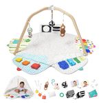 LOVEVERY | The Play Gym | Award Winning For Baby, Stage-Based Developmental Activity Gym & Play Mat for Baby to Toddler