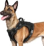 rabbitgoo Dog Harness for Large Dog