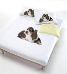 Italian Bed Linen Digital duvet cover set (bag sheet 250x200cm + 2 pillowcases 52x82cm),dog/rabbit, Satin, double bed