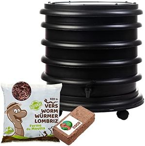 WORMbox | 