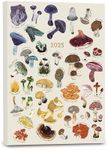 High Note 2025 Planner, 17-Month Weekly & Monthly Softcover Planner: August 2024 to December 2025, 5.75" x 7.5" - Mushrooms