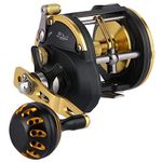 Sougayilang Trolling Reel Saltwater Level Wind Reels, Drag Reels Boat Fishing Ocean Fishing for Sea Bass Grouper Salmon-SHA30-Golden