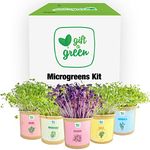 ALL OCCASION Organic Microgreens Grow Kit by GIFT-A-GREEN | Send a Memorable All Occasion Gift Basket Where the Recipient Gets to Grow Organic Kale, Arugula, Basil, Radish, Broccoli Microgreens