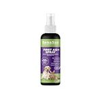 RenaSan Animal First Aid Spray (100ml) – Fights infection, kills bacteria & stops itching, Veterinary-grade skin protection, Alcohol-Free, Non-irritating, for Dogs, Cats & all other animals.