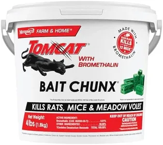 Tomcat wit