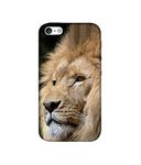 Amazon Brand - Solimo Designer Lion 3D Printed Hard Back Case Mobile Cover for Apple iPhone 5 / 5S