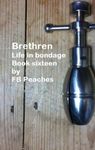 Brethren, life in bondage, book sixteen. (Brethren life in bondage 16)