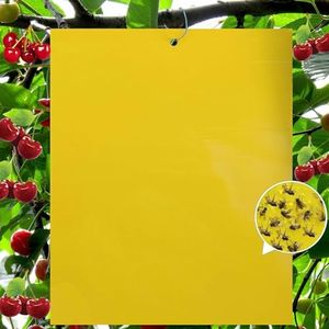 SKNet 20-Pcs (25*20cm) Dual-Sided Yellow Fruit Insect Fly Trap , Yellow Sticky Gnat Traps Killer for Indoor/Outdoor Flying Plant Insect Like Fungus Gnats, Whiteflies, Aphids, Leaf Miners,Ties-Included