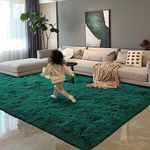 HOMORE Luxury Fluffy Area Rug Moder