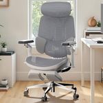 Hbada E3 Ultra Ergonomic Chair, wit