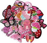 MISDONR 30pcs Pink Embroidered Iron on Patches Assorted Size DIY Patches Applique for Girls Clothing Jackets Jeans Pants Backpacks