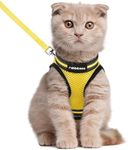 rabbitgoo Cat Harness and Leash Set