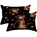 RABUSOFA Fall Pillow Covers 12x20 Inch Set of 2,Autumn Decorations Throw Pillows,Thanksgiving Cat Maple Leaves Cushion Covers for Home Sofa Couch Living Room Black(27-12)