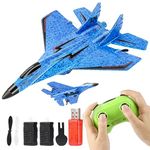 Floureon RC Planes