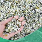 Succulent Rocks for Plants Tiny Pebbles for Planters 2.8LB Pea Gravel Bulk Course Sand Soil Small Decorative Stones for Indoor Bonsai Pots Cactus Top Dressing Aquarium Garden Landscape, Green