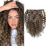 Caliee Curly Clip in Hair Extension