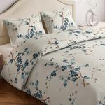 haus & kinder 100% Cotton Queen Size Bedsheet for Double Bed, 1 Cotton Bed Sheet Double Bed (90 X 100 Inches) with 2 Pillow Covers | 186 TC Bed Sheet Double Bed Floral Grace (Blue)