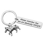 Vadaka Inspirational Keyring Encouragement Gift for Zebra Lover Gift Always Remember That You are Keychain Keyring Graduation Anniversary Christmas Birthday Gifts for Women Men Friend