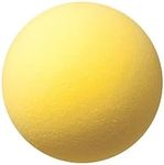 Champion Sports Uncoated Regular Density Foam Ball (7-Inch)