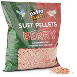 Extra Select Berry High Energy Suet Pellets Wild Bird Food - Protein, Fat Rich Year-Round Feeding - 3 Kg Refill