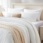 BEDELITE Fluffy Queen Comforter Set