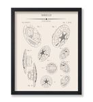 Poster Master Shield Blueprint Poster - Superhero Patent Print - Comic Book Art - Defense Art - Shield Art - Superhero Art - Captain Art - Great Playroom or Kids Room Decor - 8x10 UNFRAMED Wall Art