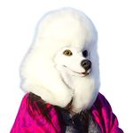 CreepyParty White Poodle Mask Dog Head Latex Realistic Animal Full Head Mask for Halloween Costume Party Carnival Cosplay