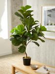 ARICK DECOR 3.6Ft Artificial Fiddle Leaf Fig Tree in Pot, 3.6ft Realistic Faux Lush Green Silk Leaf Plant, Peacock Shaped Floor Decor for Home, Office & Balcony