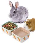 JanYoo Hamster Food Bowl Guinea Pig Feeder Ceramic for Cage with Water Supplies and Accessories for Bunny Blue Pink (2 Pack)