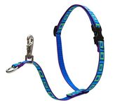 LupinePet Originals 3/4" Sea Glass 16-26" No Pull Harness for Small-Medium Dogs