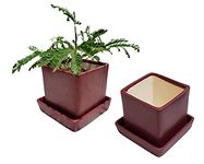 Pure Source India Porcelain Ceramic Planter Pots with Bottom Tray, Brown, Small, 2 Piece