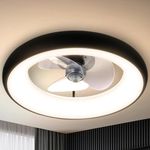 Low Profile Ceiling Fan with Lights