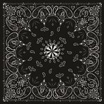 Black Paisley Bandanna