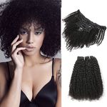 LDGUGO Afro Kinky Curly Clip in Hair Extensions Human Hair 4C Hair Clip in Extensions 8pcs 120g/set 10A Brazilian Virgin Natural Hair Clip Ins for Black Women Natural Black Color 16 Inch