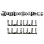 MDS Lifters Camshaft Kit Replacement for 2009-2018 Dodge Ram 1500 5.7L V8 Hemi 53022263AE, 53022263AF, 5038785AD, 53021726AD, 53021726AE Flynsu