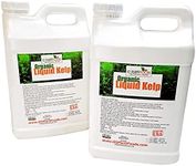 Kelp Fertilizer by GS Plant Foods (5 Gallon) - Organic Liquid Fertilizer for Gardens, Lawns & Soil - Liquid Kelp Concentrate