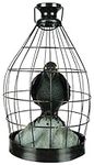 Gemmy Morris Costumes Crow in Cage 
