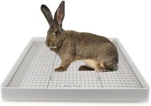 Oncpcare 22x18 Super Large Rabbit L